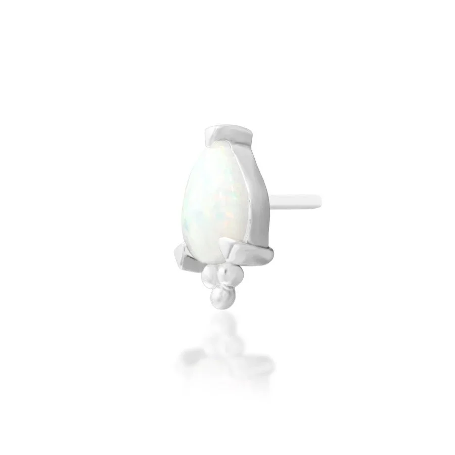 Image 14.jpeg