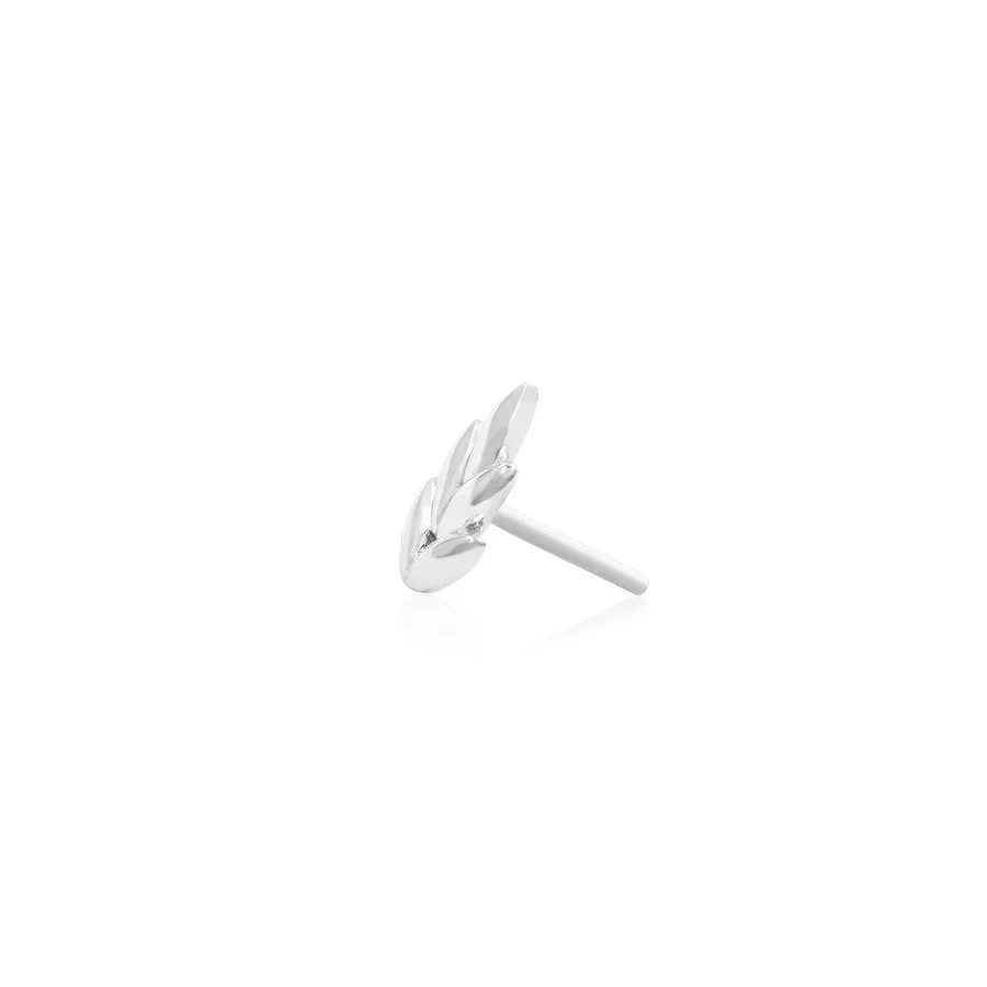Image 16.jpeg