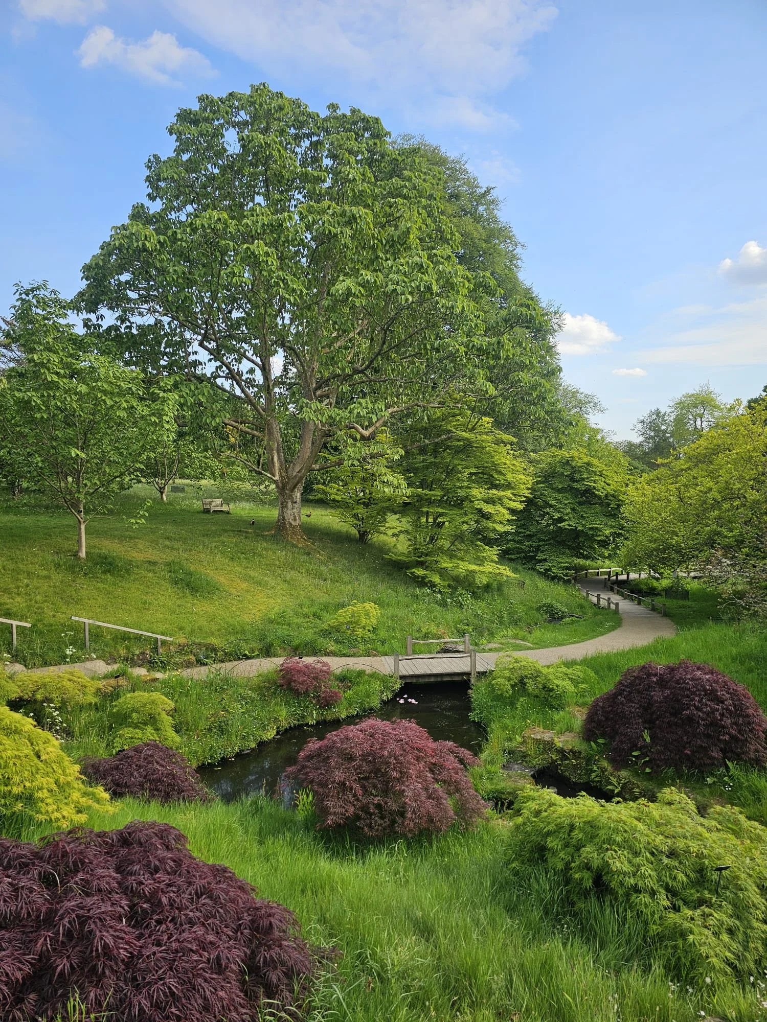 Wakehurst Community Day