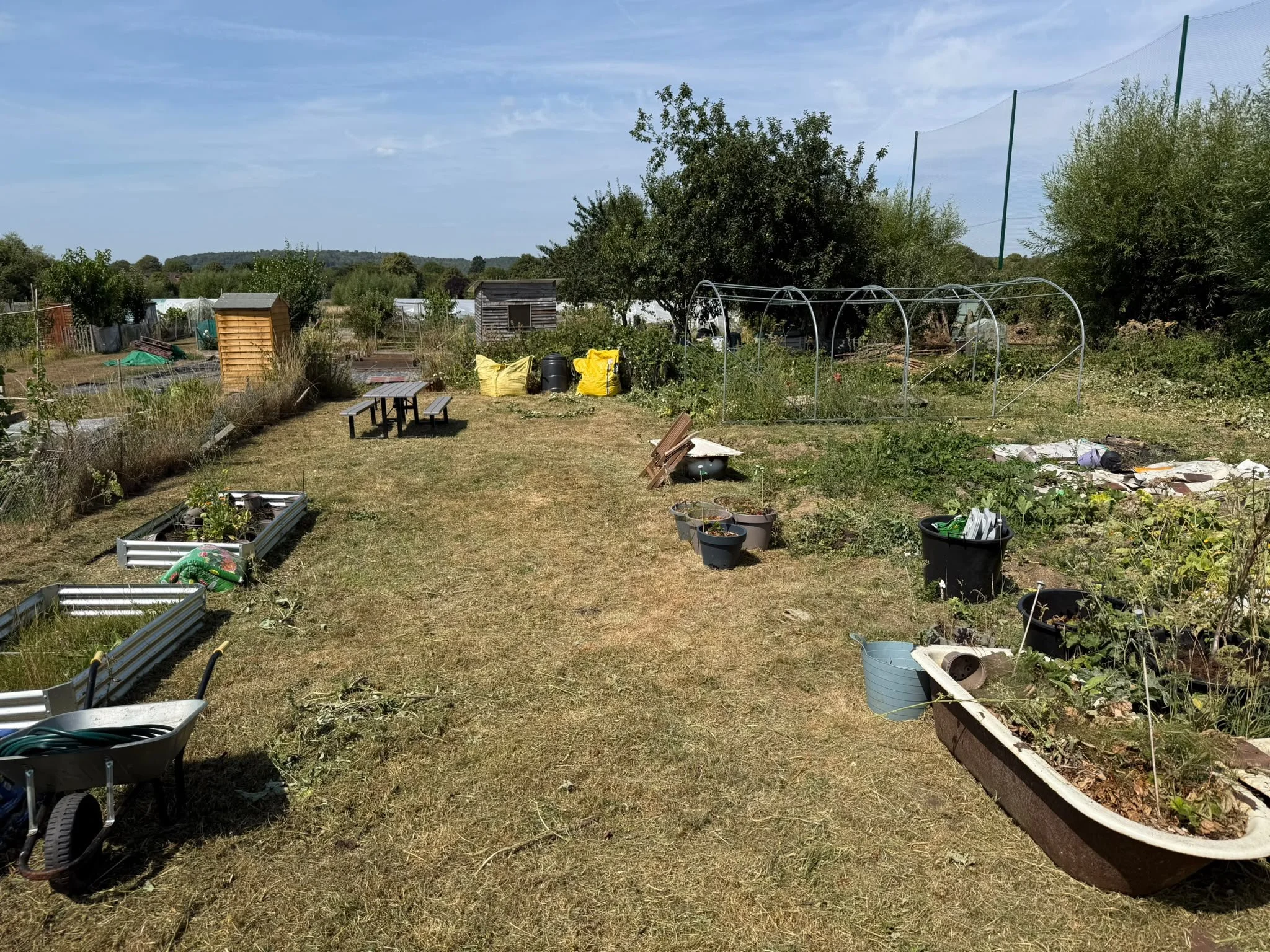 Free compost for the allotment!