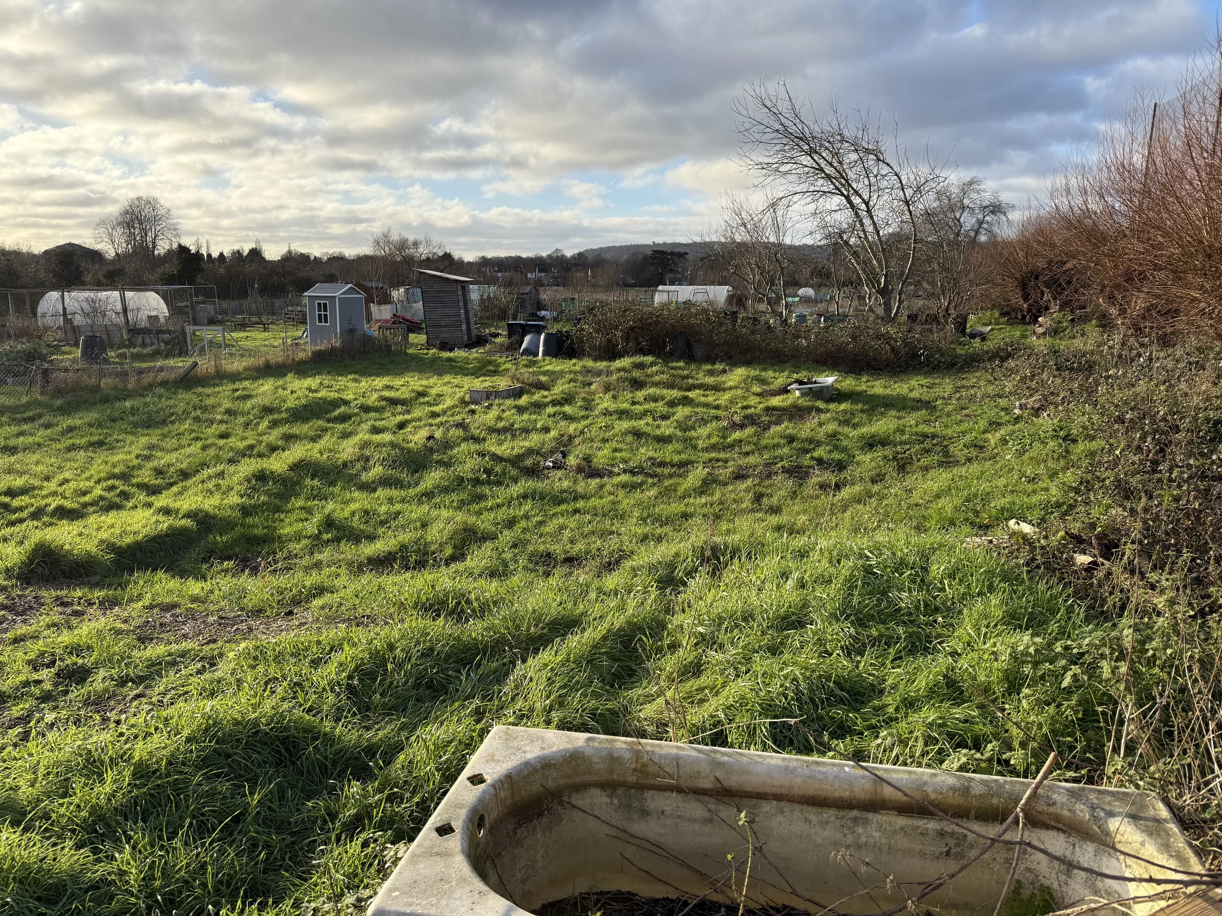 The plot from the north east corner.