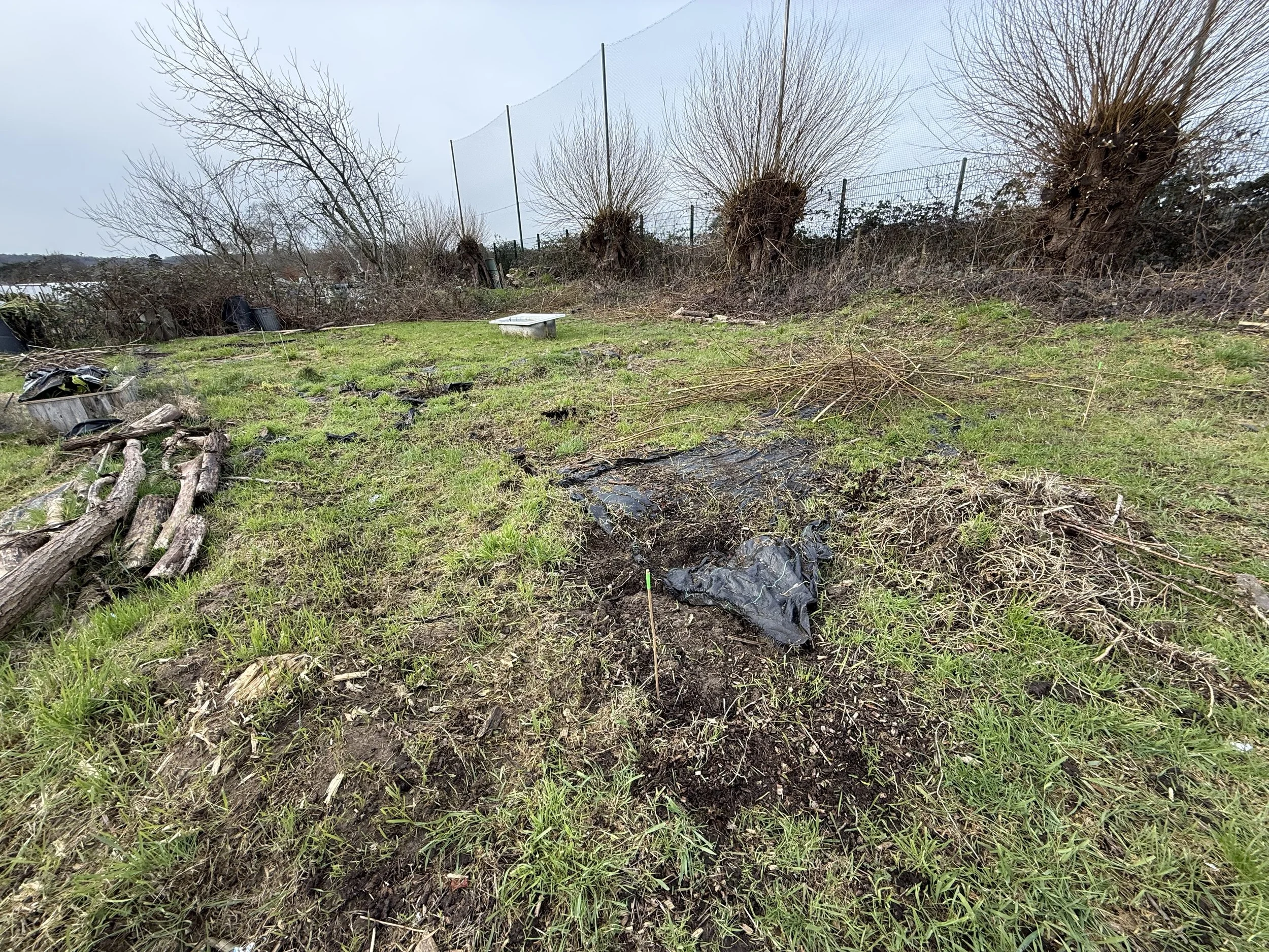 Clearing some existing beds