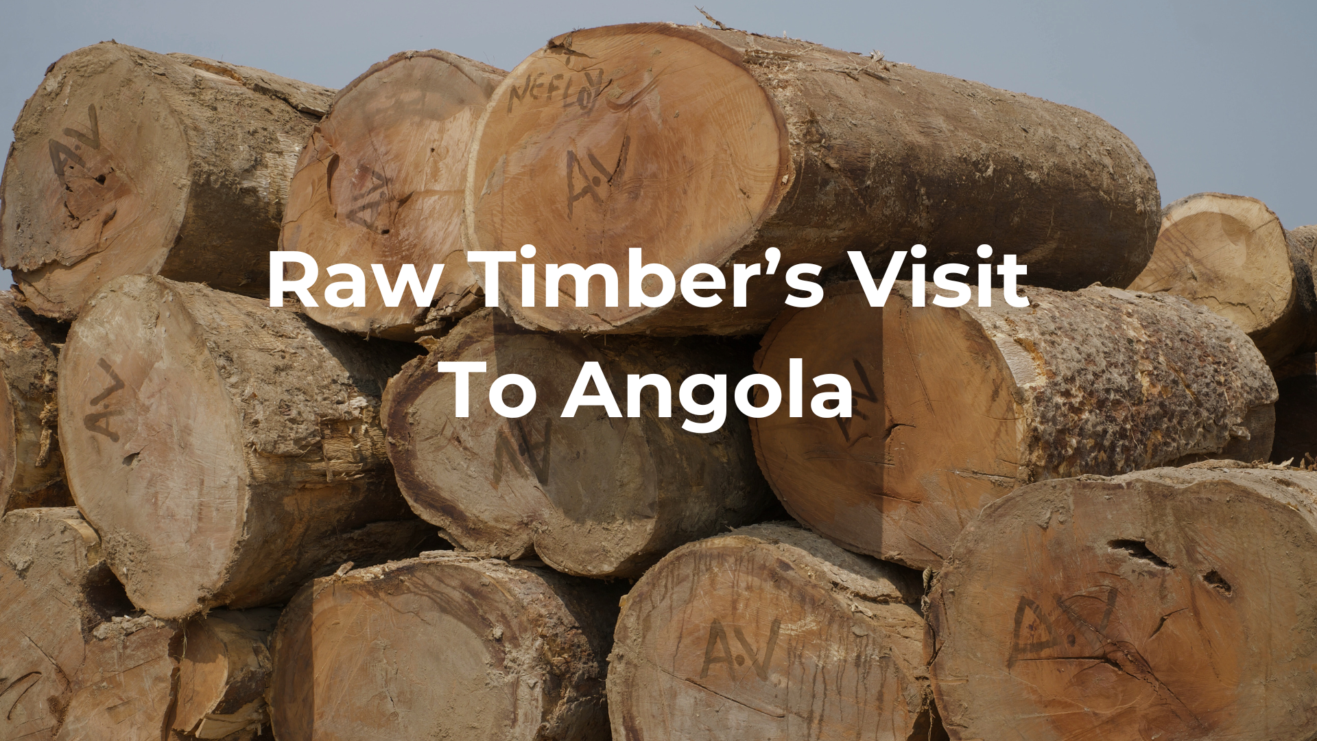      

 
   We have recently completed a productive visit to one of our partner mills where we currently have a large order in progress. These on-site visits form an essential part of how we operate and remain committed to delivering the highest stan