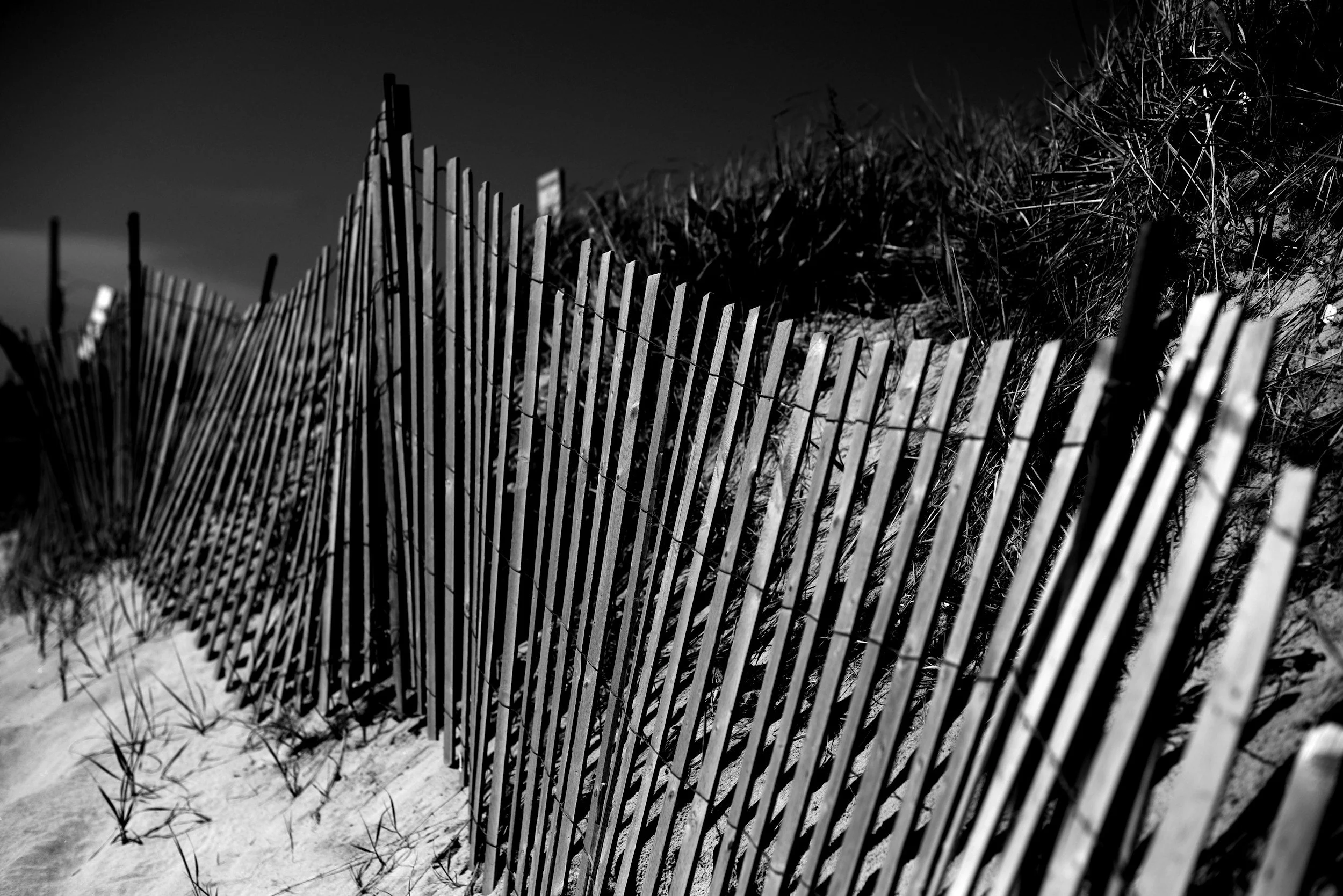 A black and white photo of a sand dune with wooden beach fencing and tall grass.
