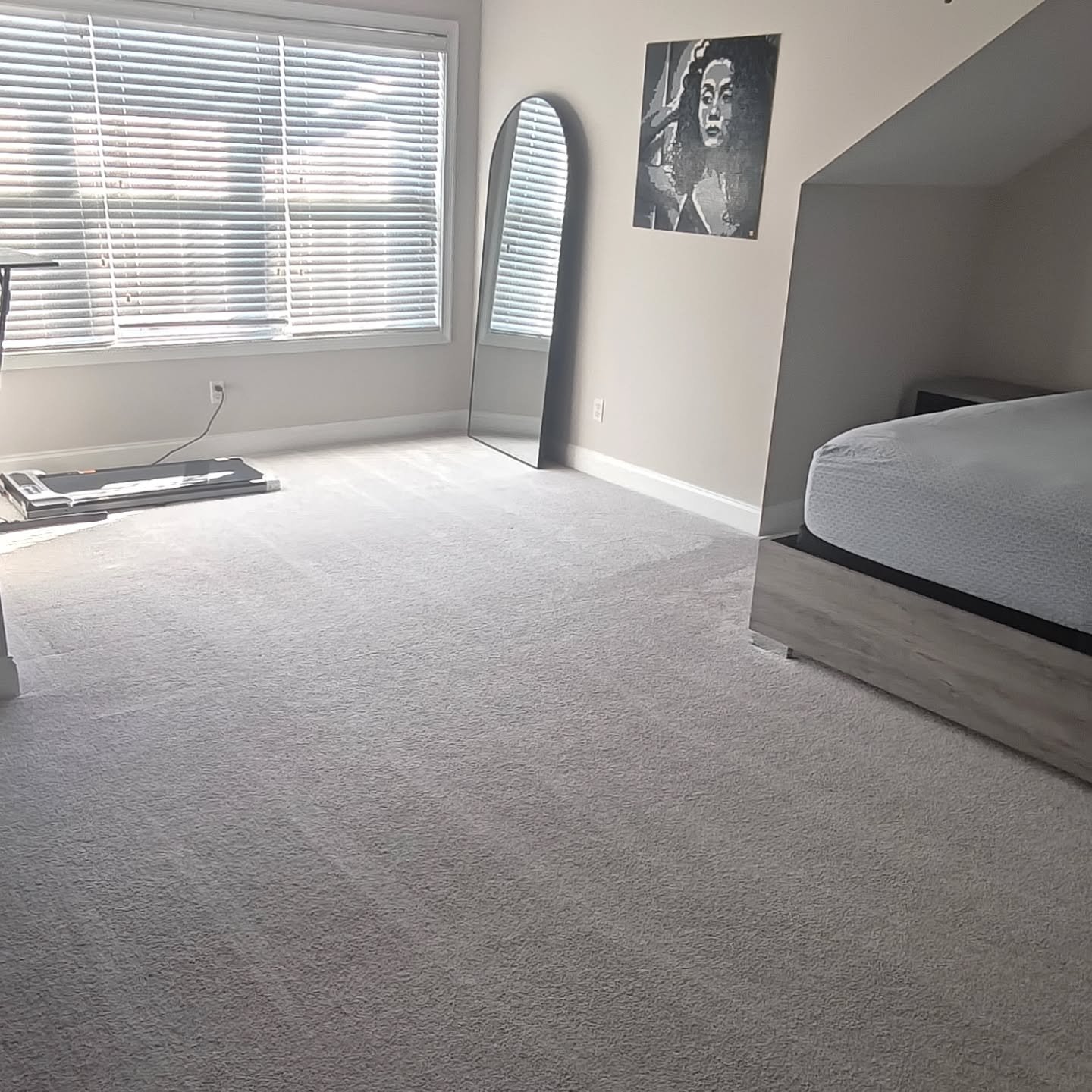 A successful carpet cleaning. So fresh ✨😁
#carpetcleaner #soclean