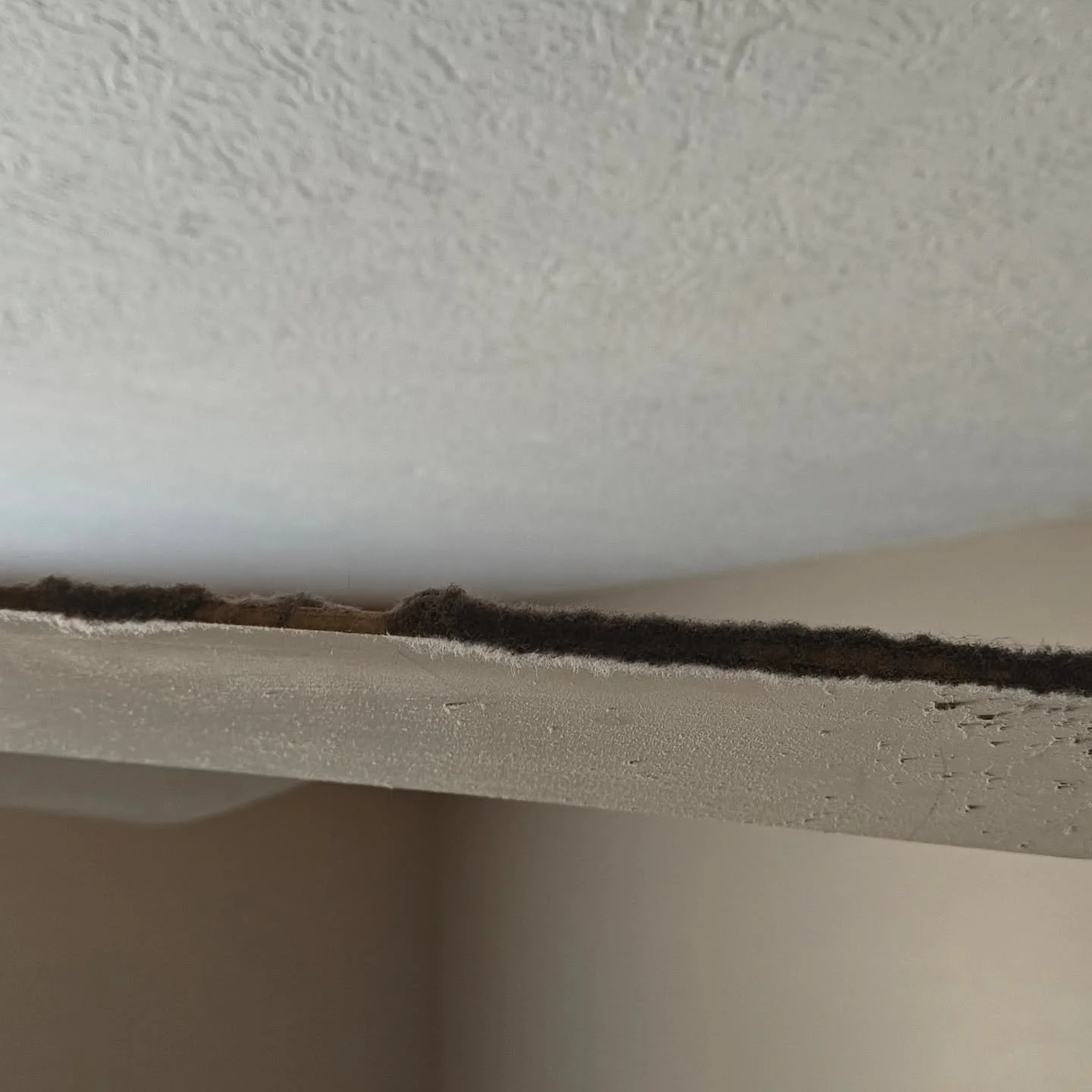 Listen up! If your fans look like this... Stop being disgusting and clean them... Or hire me to do it for you. Just don't keep the dust circulating in the air. Literally! 
#nasty #dusty #dust #cleaning