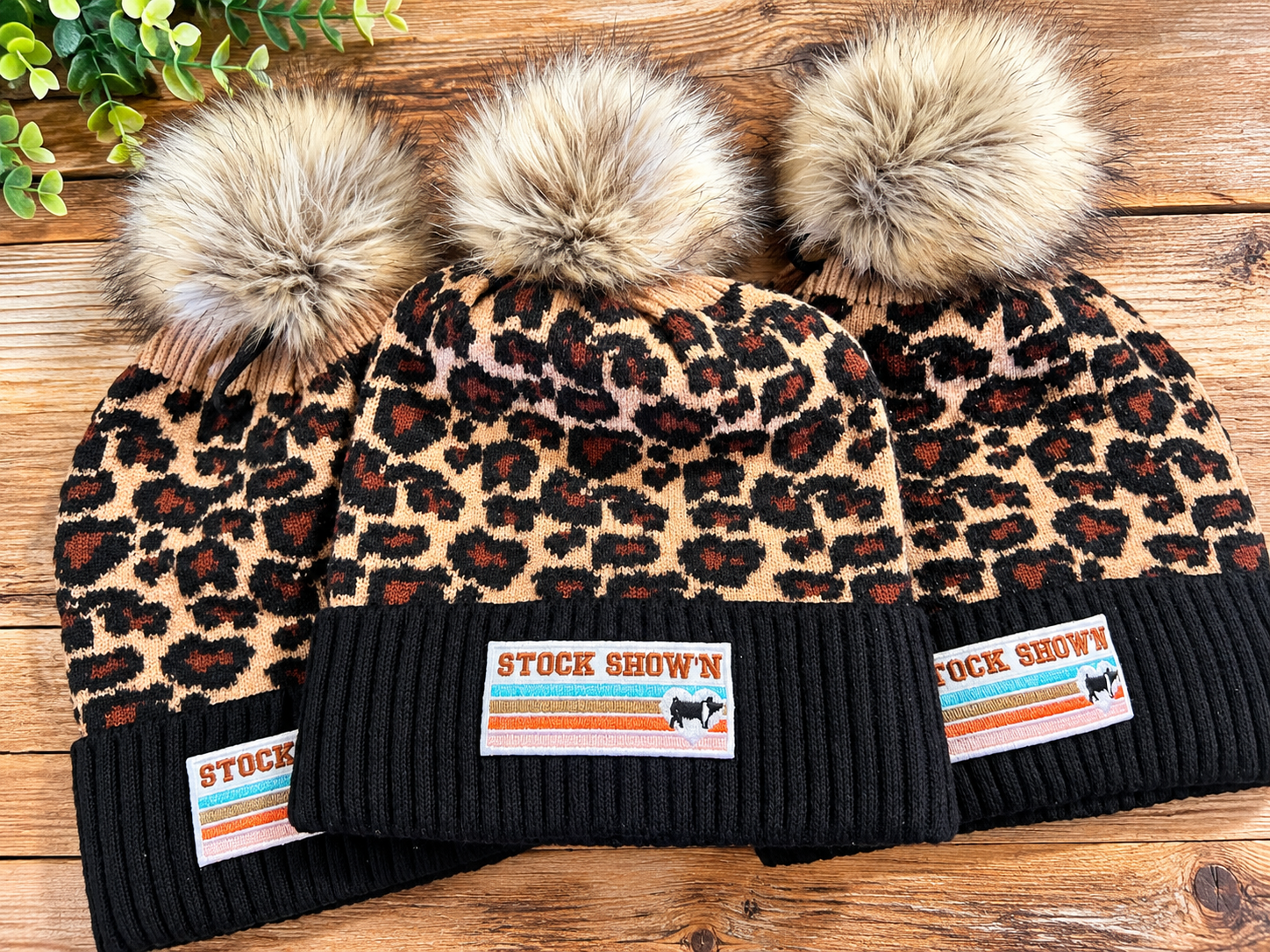 Cheetah toboggan