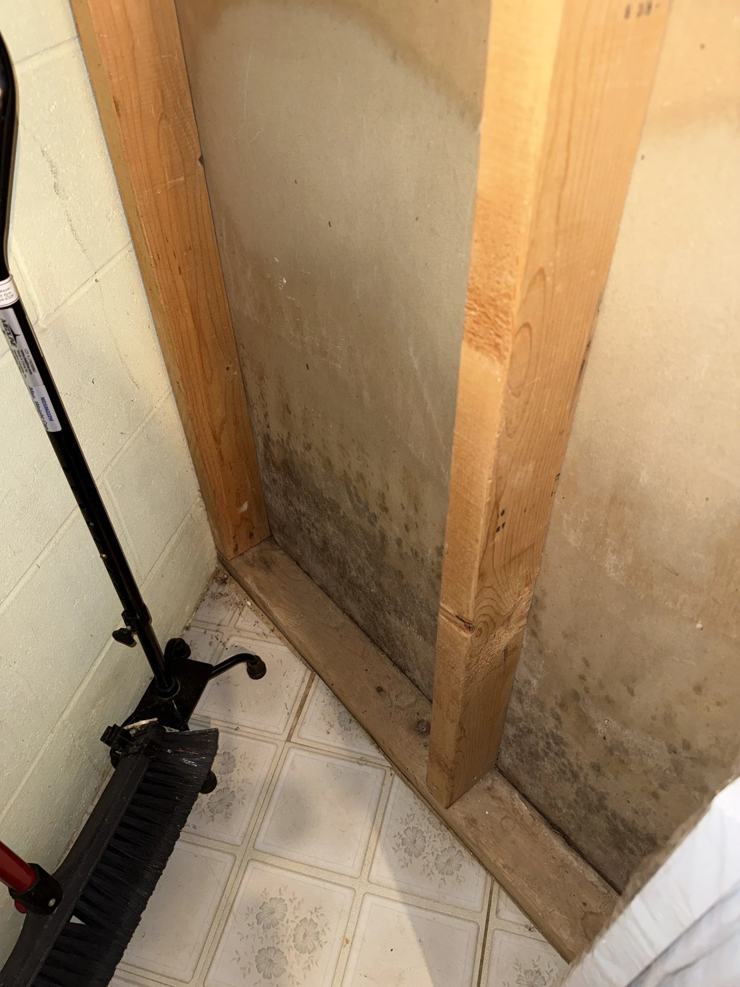 Mold on Drywall from Inspection
