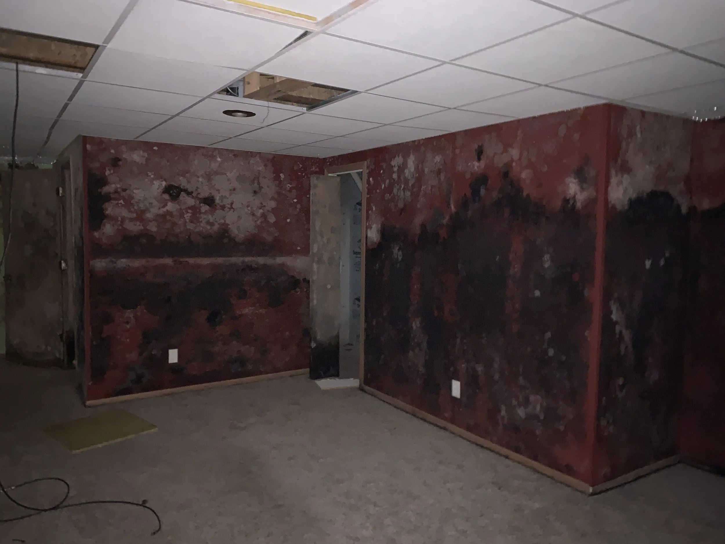 A room with mold on the walls.