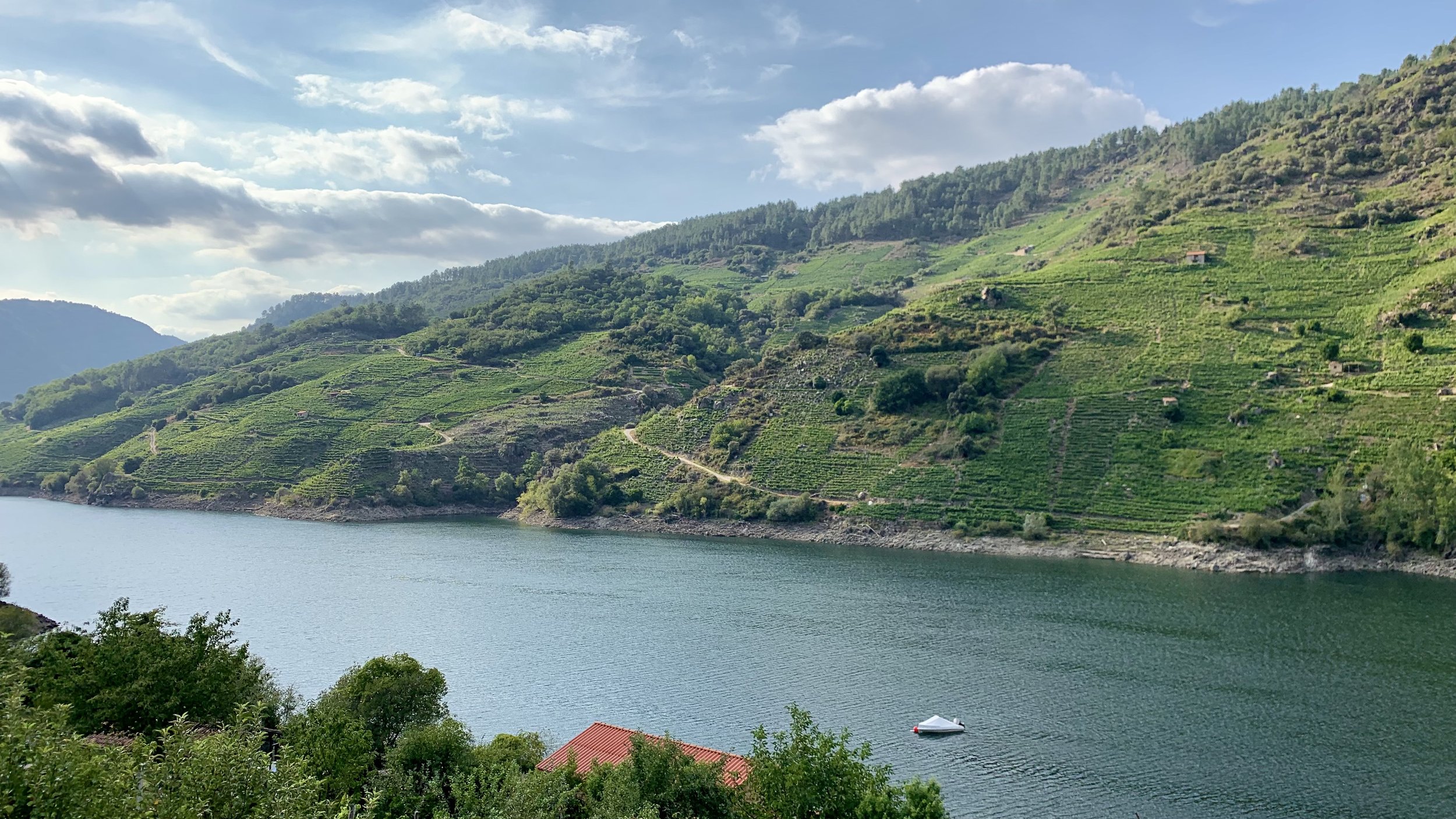 Galician Wines You Should Be Drinking: Vel’uveyra Mencía