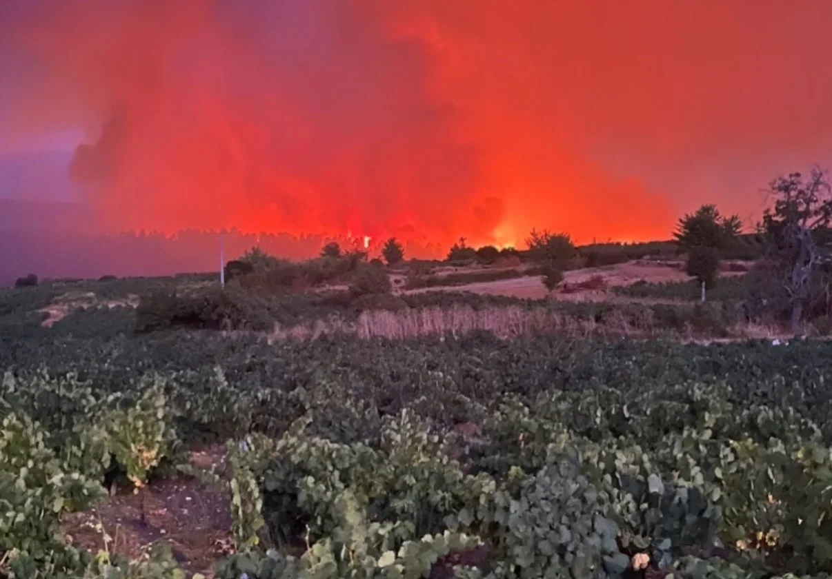 Historic Wildfires Threaten Galician Vineyards