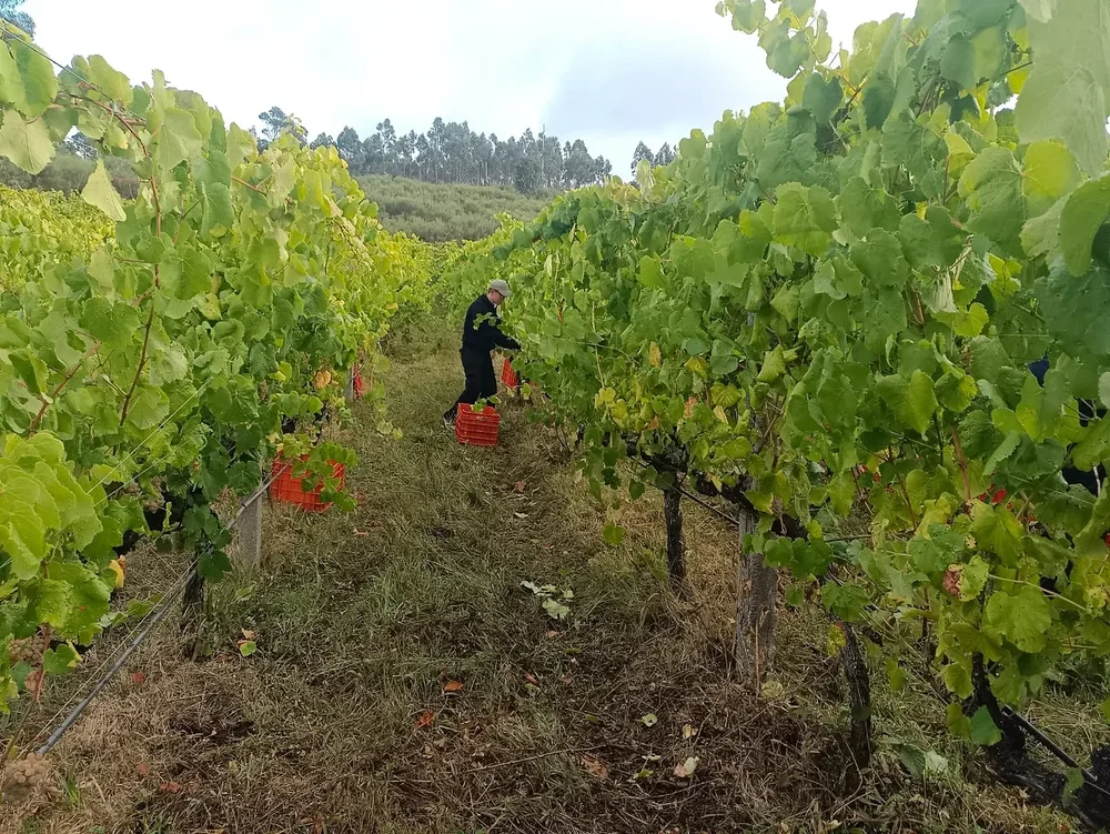Toni Alonso, Veigamoura