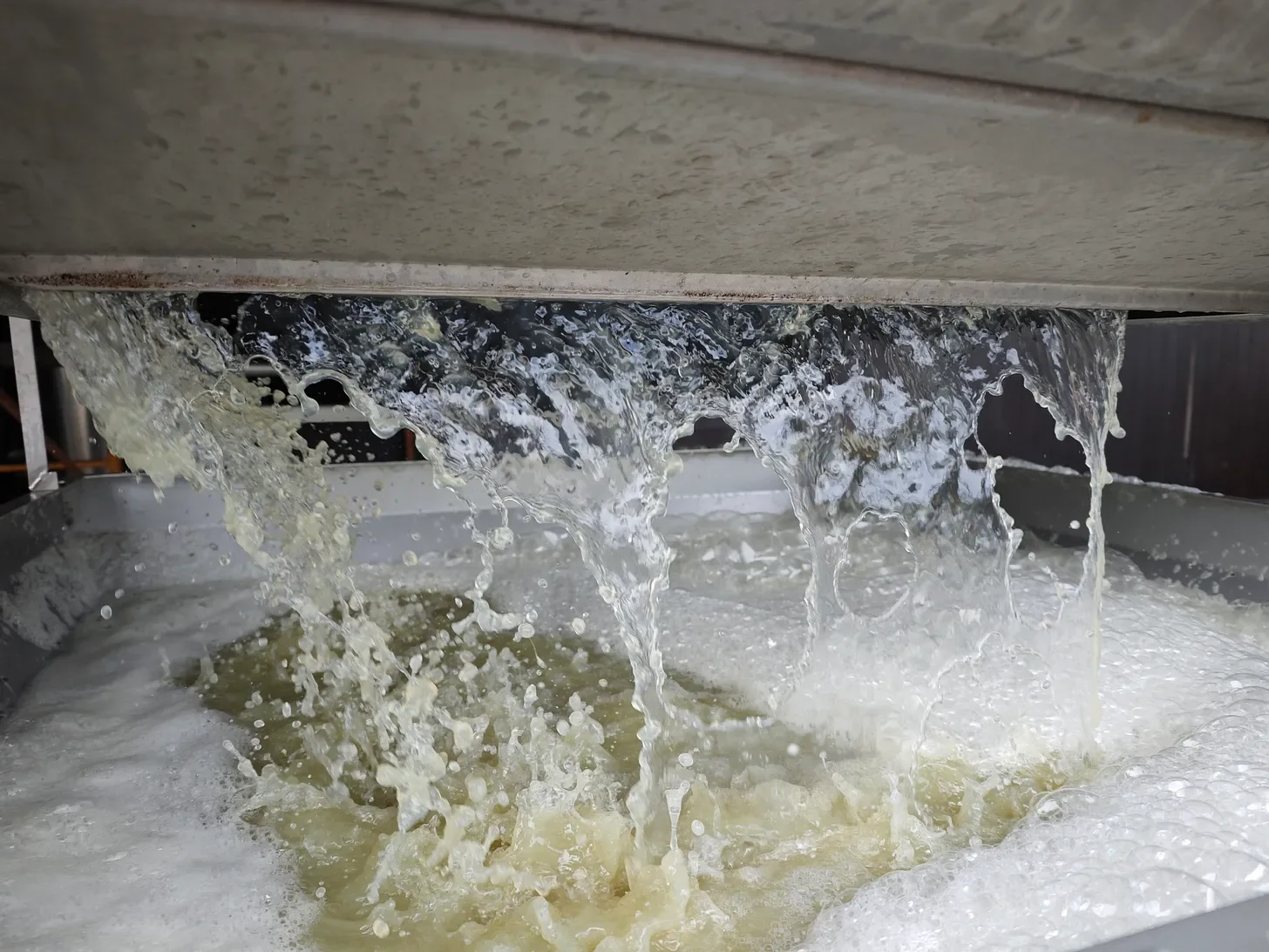 Sonia Costa, Lagar de Costa