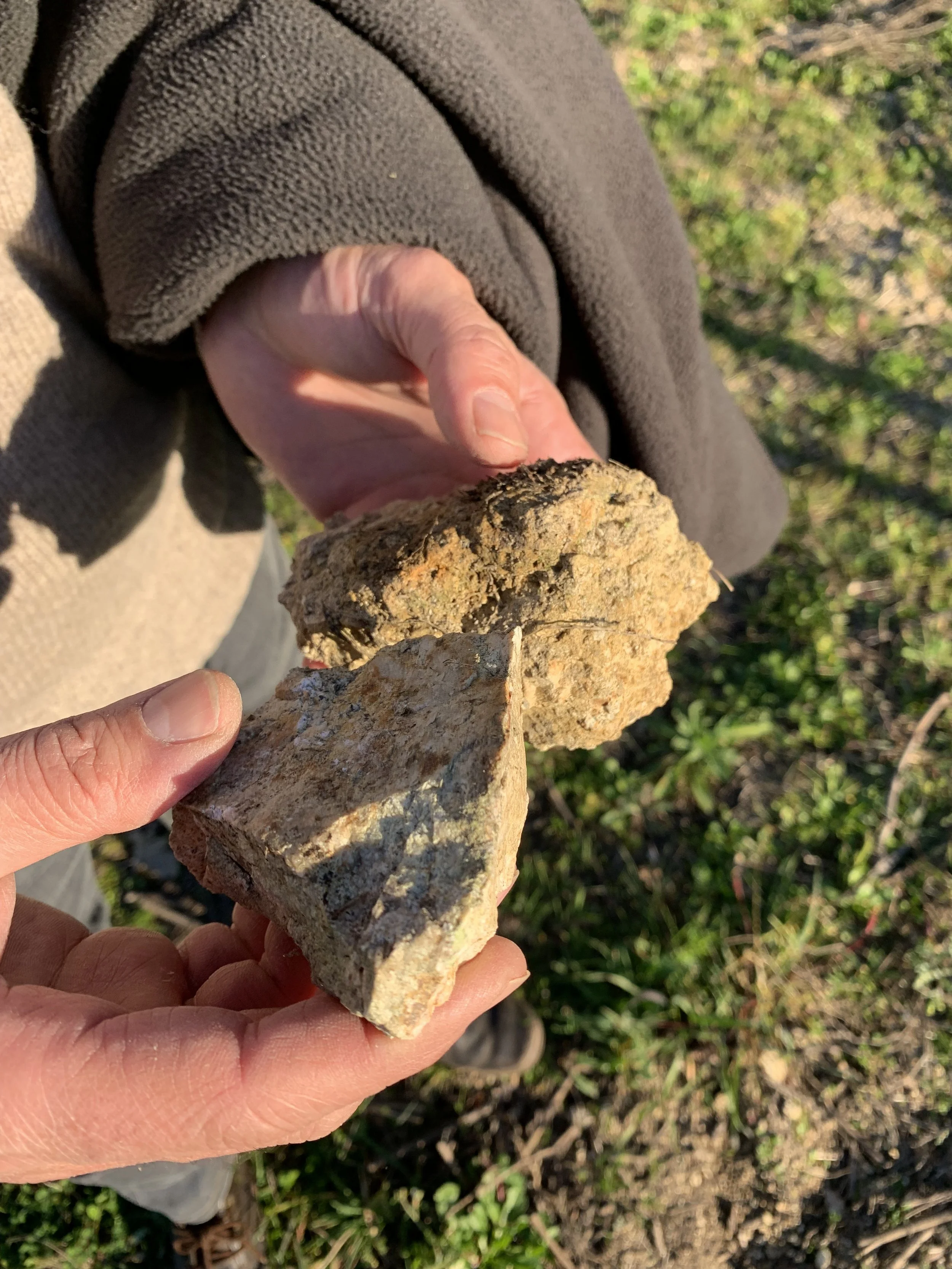 Light-colored sábrego in Ribeiro