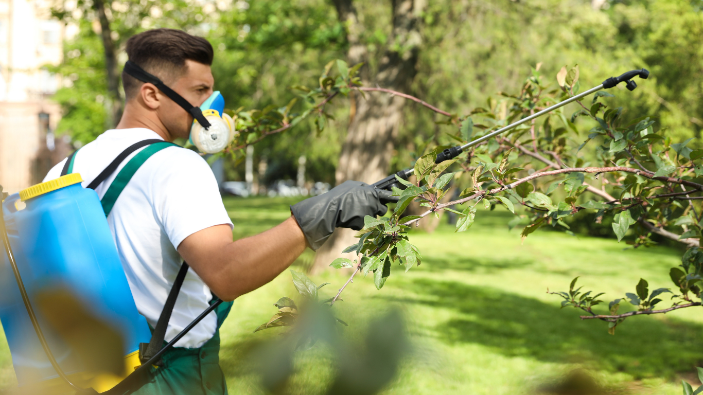 Services — Critter Control Solutions