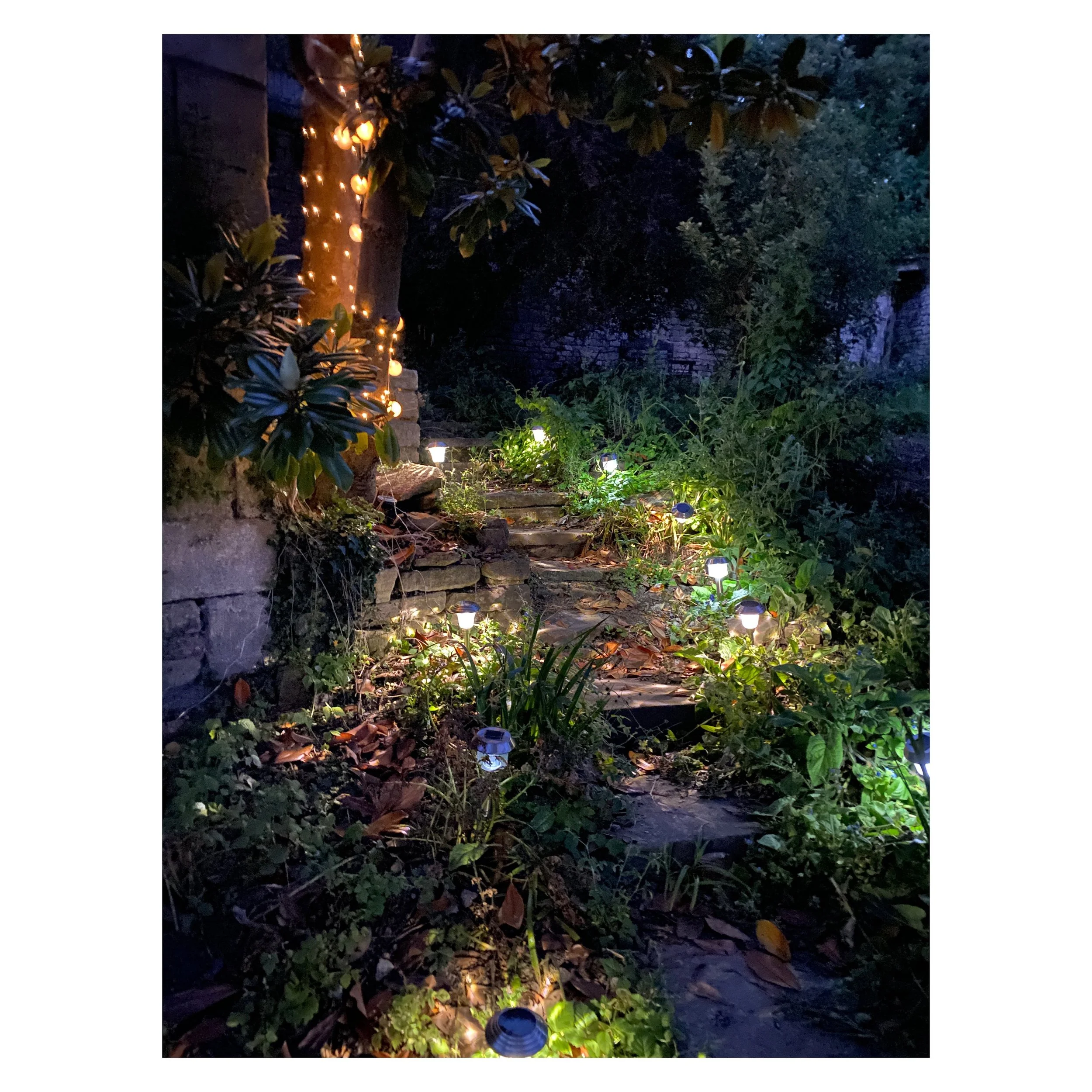 Tonight the steps up to the orangerie look magical lit by fairy and solar lights&hellip;

#bradfordonavon #bradfordonavonlife #garden #summergarden