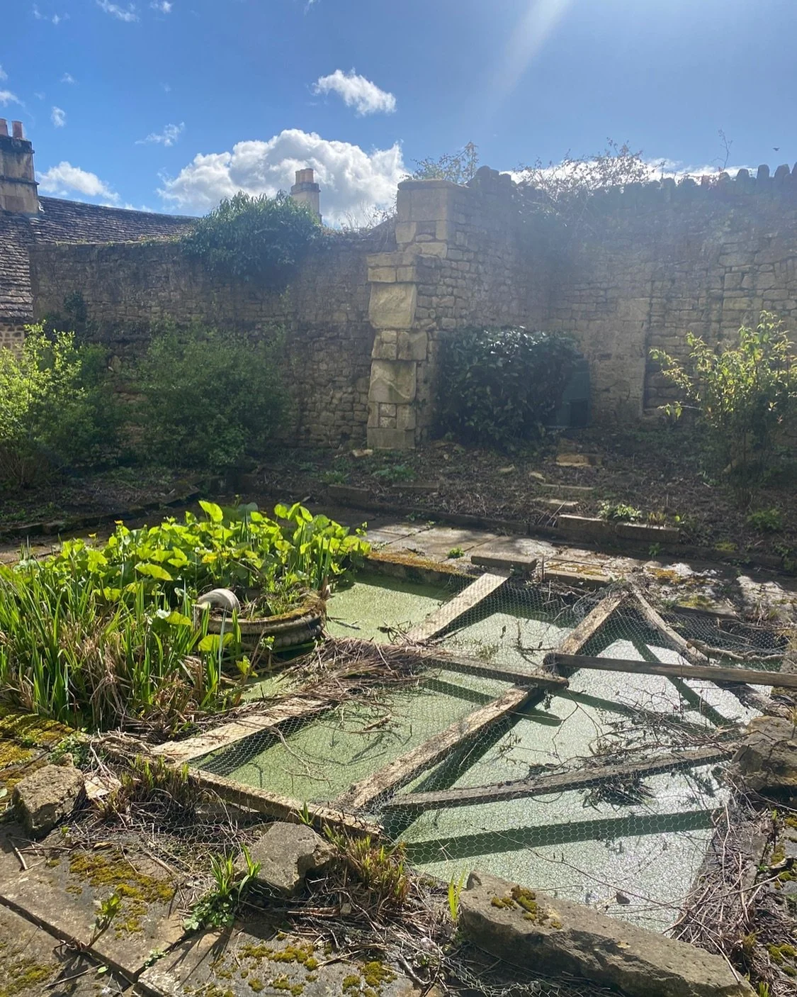 Sunshine at pond

#bradfordonavonlife #wiltshire #garden #gardendesign