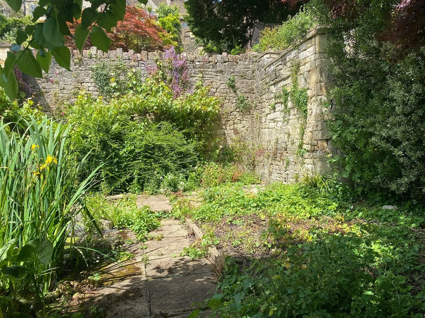 The sun is out! This is a view of where &lsquo;the Secret Garden&rsquo; will be zoned. Plans include a steel grid walkway over the formal pond (just visible to the left) and making good this corner for a vintage table and chairs for happy times with 