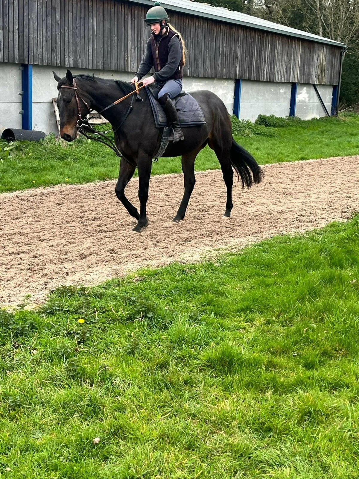 Big Lad £260