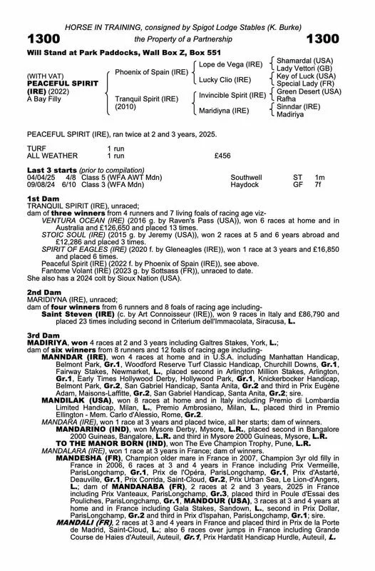 Pedigree chart for a racehorse named Peaceful Spirit, describing its lineage, training details, past performances, dams, and leads. Multiple generations of ancestors are shown with their names and origins, including international locations such as Ireland, the USA, Australia, and Italy.