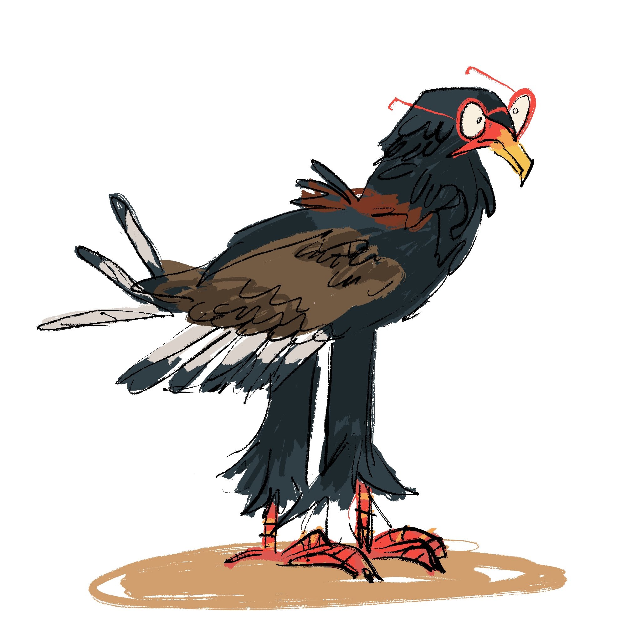 brilvogel.jpg