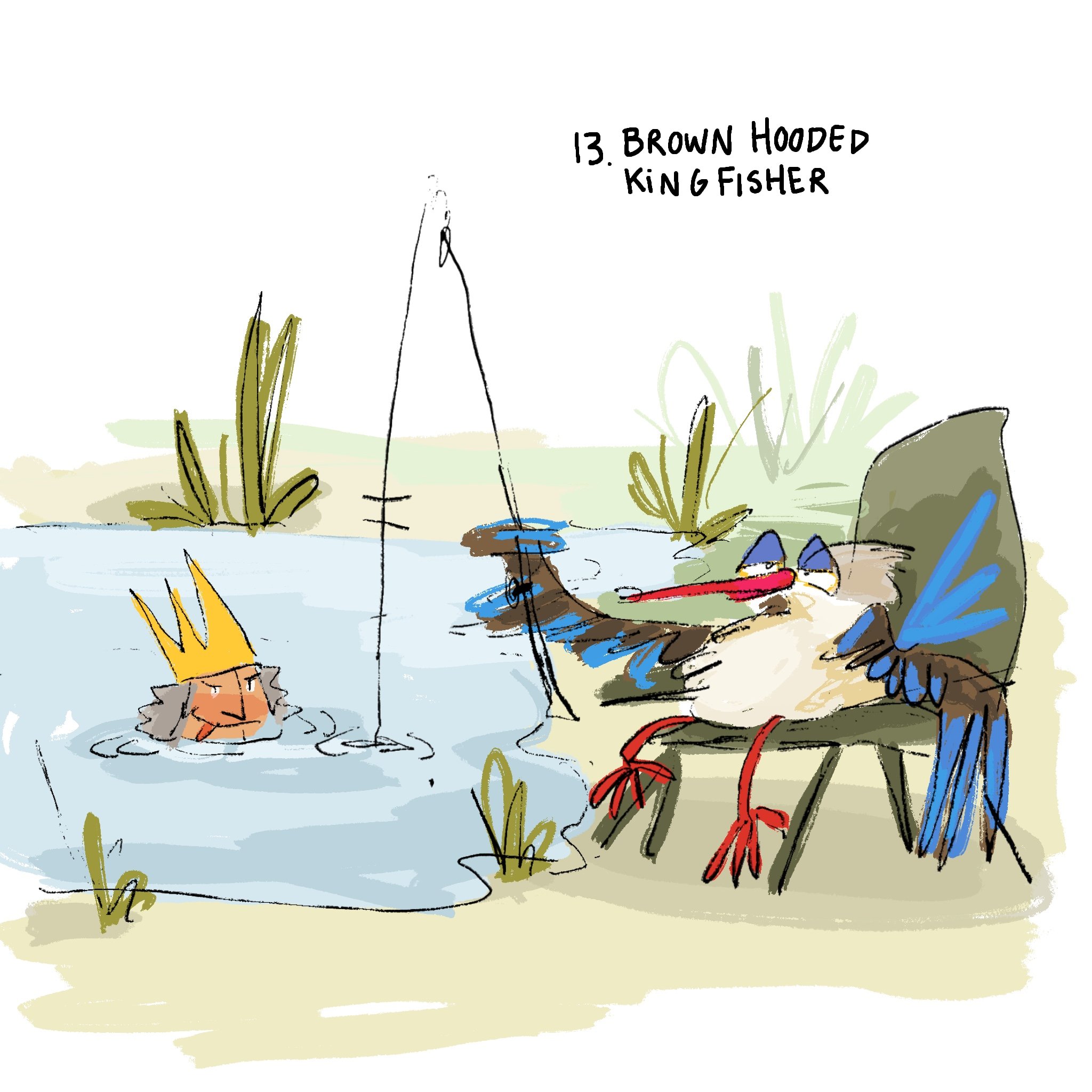kingfisher.jpg