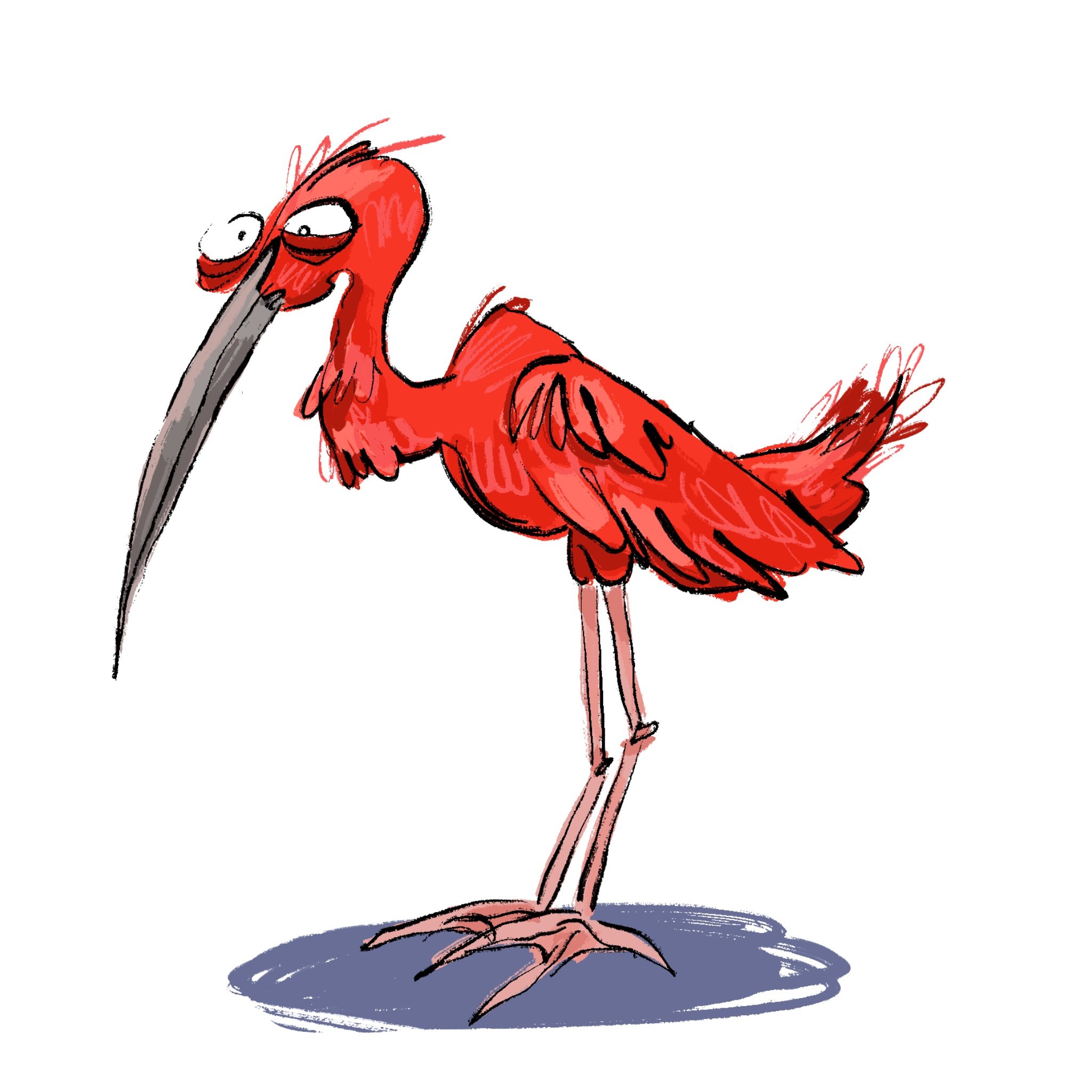ibis.jpg