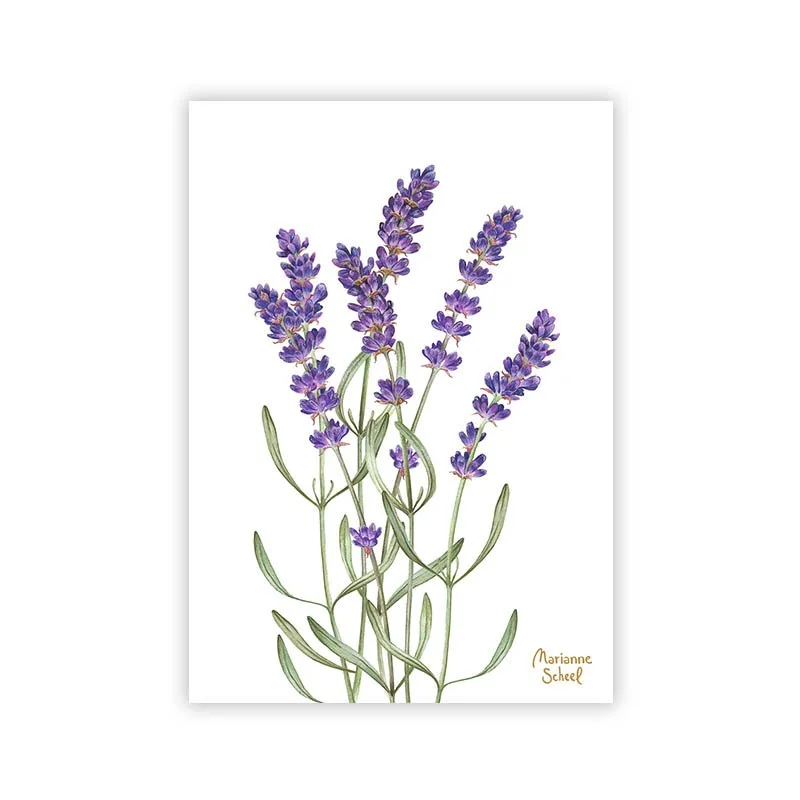 lavendel-mini-takkekort.jpg