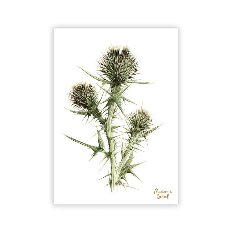 tidsel-på-vej-til-at-blomstre-minikort-mini-takkekort.jpg