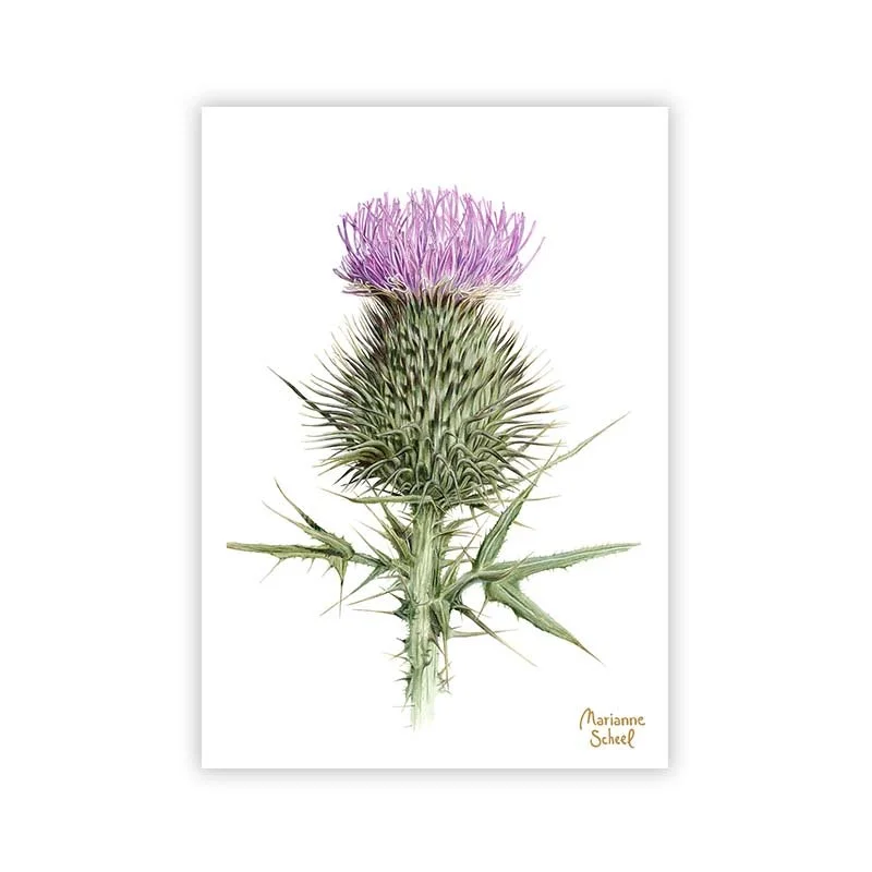 tidsel-i-blomst-minikort-mini-takkekort.jpg