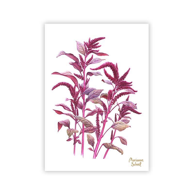 amaranth-minikort-mini-takkekort.jpg