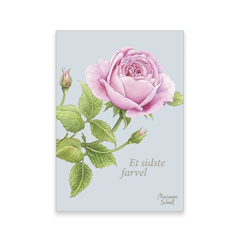 minikort+SF+rose+blå+BG.jpeg