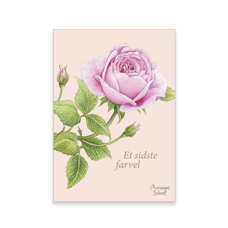 minikort+SF+rose+pink+BG.jpeg