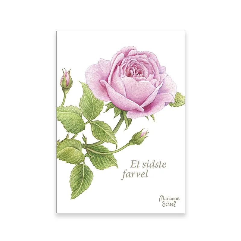 minikort+SF+rose+white+BG.jpeg