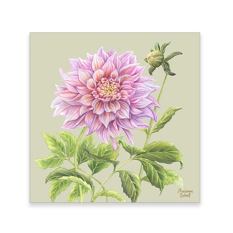 takkekort+dahlia+grøn.jpg