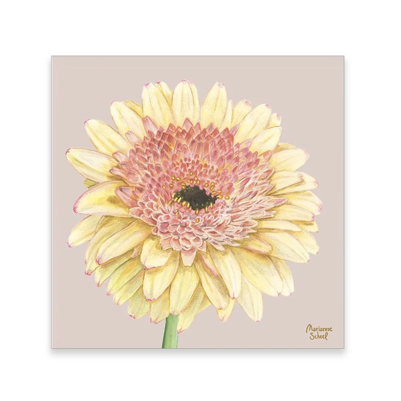 takkekort+gerbera+lyserød.jpg