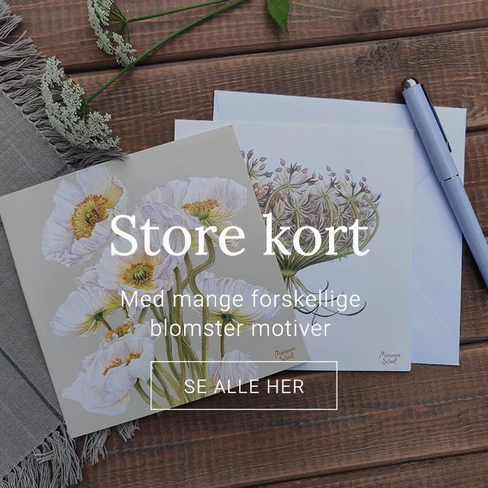 STORE KORT