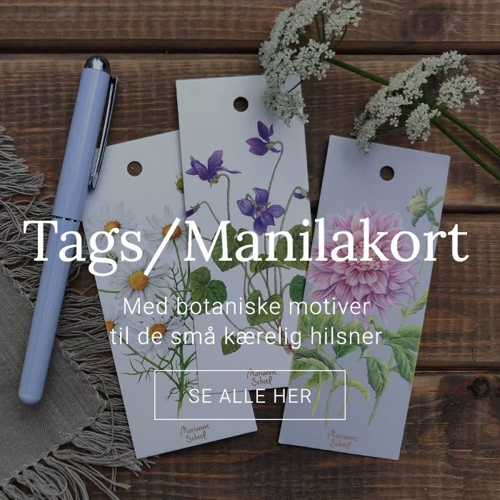 TAGS/MANILA KORT