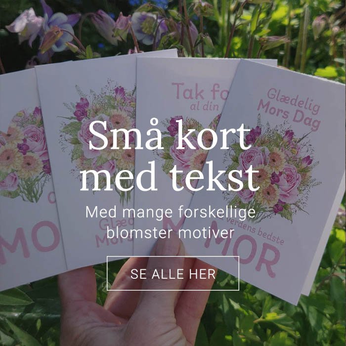 MINIKORT MED TEKST