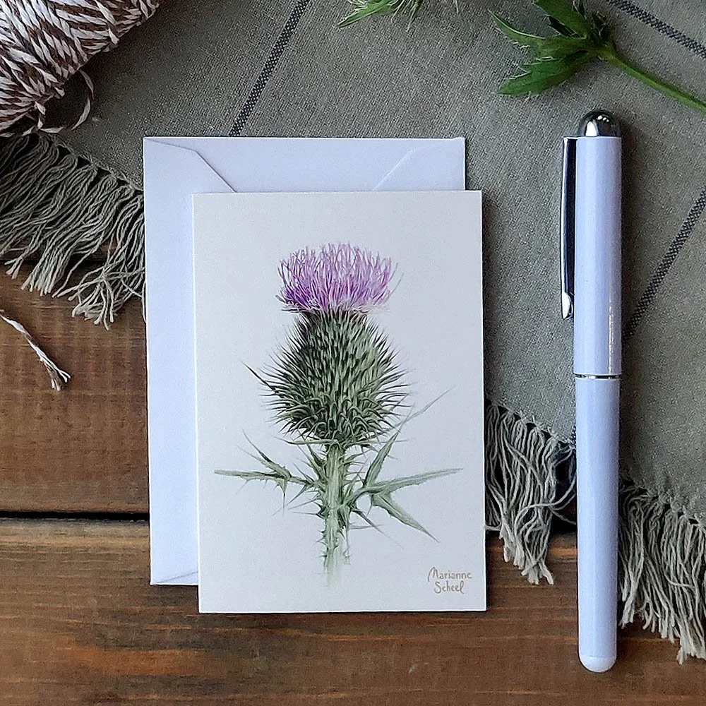 Minikort - Tidsel i Blomst - Hvid BG