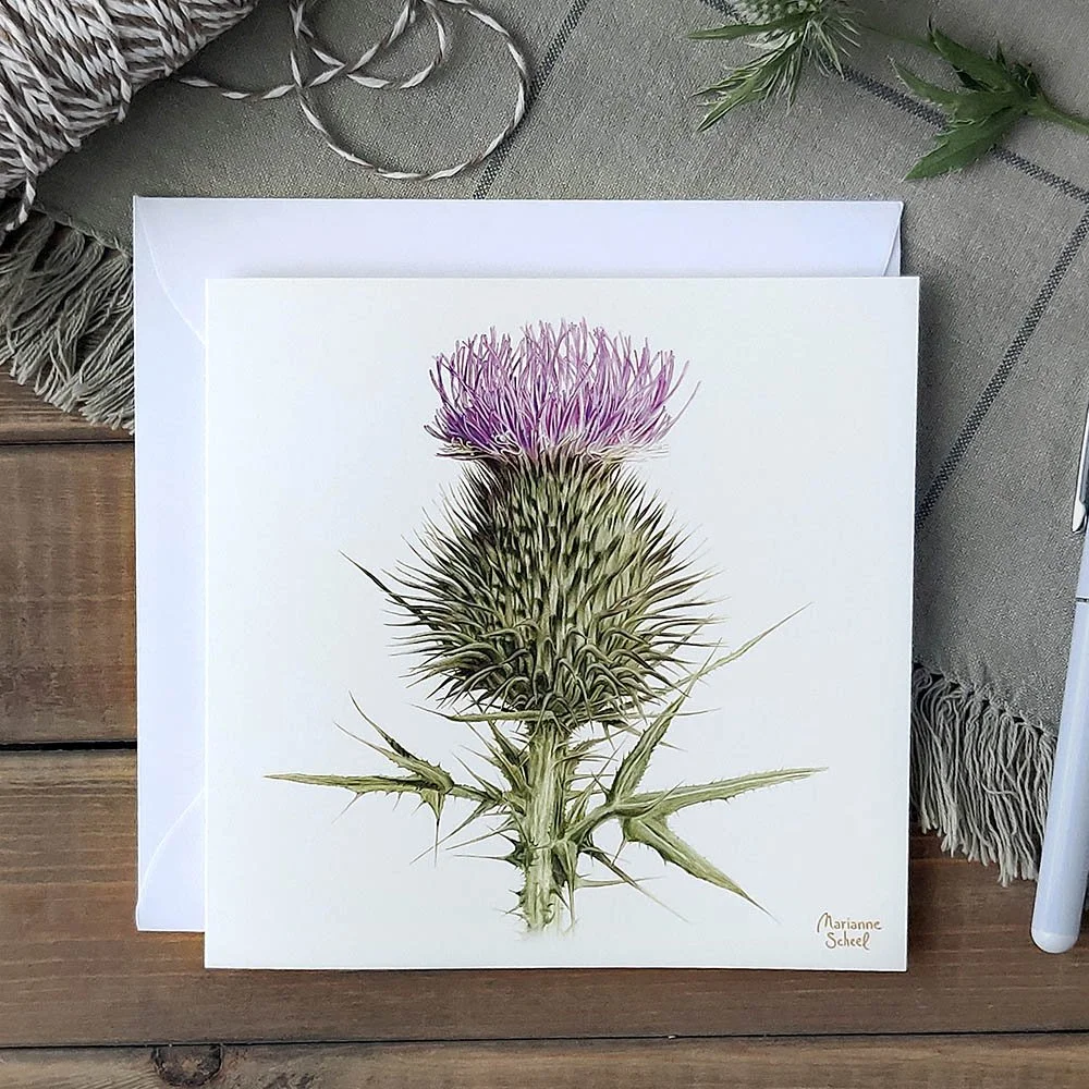 Stor kort - Tidsel i Blomst - Hvid BG (Copy)