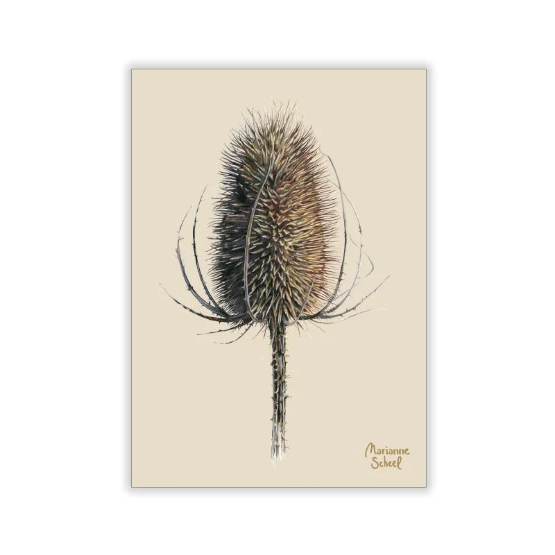 Vinterkort A7 - Kardebolle - Beige BG.jpg