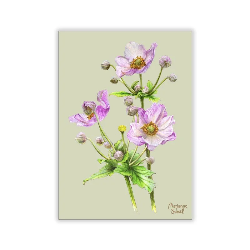 A7-Høst-Anemone-grøn-BG.jpg