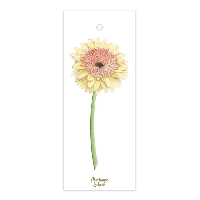 Blomster-tags-kort-gerbera-hvid-baggrund-til-og-fra-til-snor-marianne-scheel-illustration.jpg
