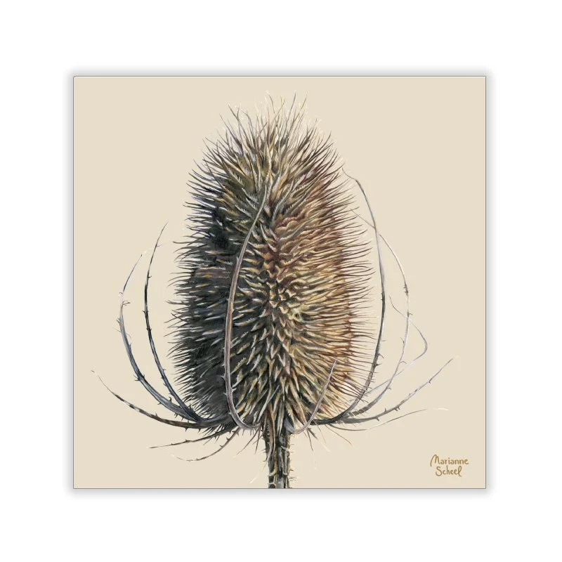 Vinterkort-Kvadratiske-kardebolle-beige-bg.jpg