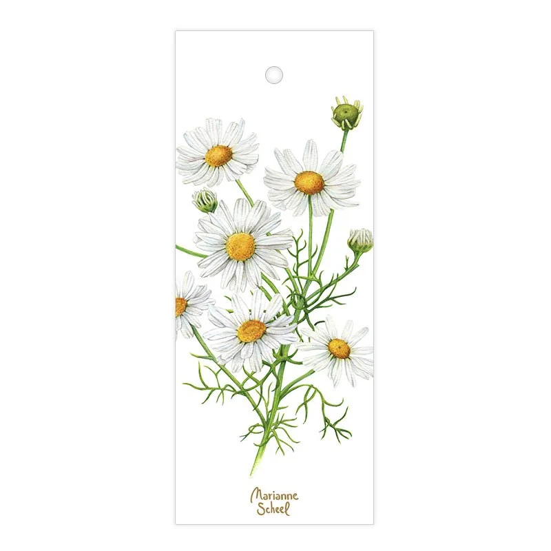 Blomster-tags-kort-kanille-hvid-baggrund-til-og-fra-til-snor-marianne-scheel-illustration.jpg