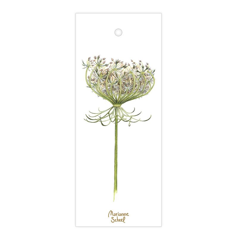 Blomster-tags-kort-vild-gulerod-hvid-baggrund-til-og-fra-til-snor-marianne-scheel-illustration.jpg