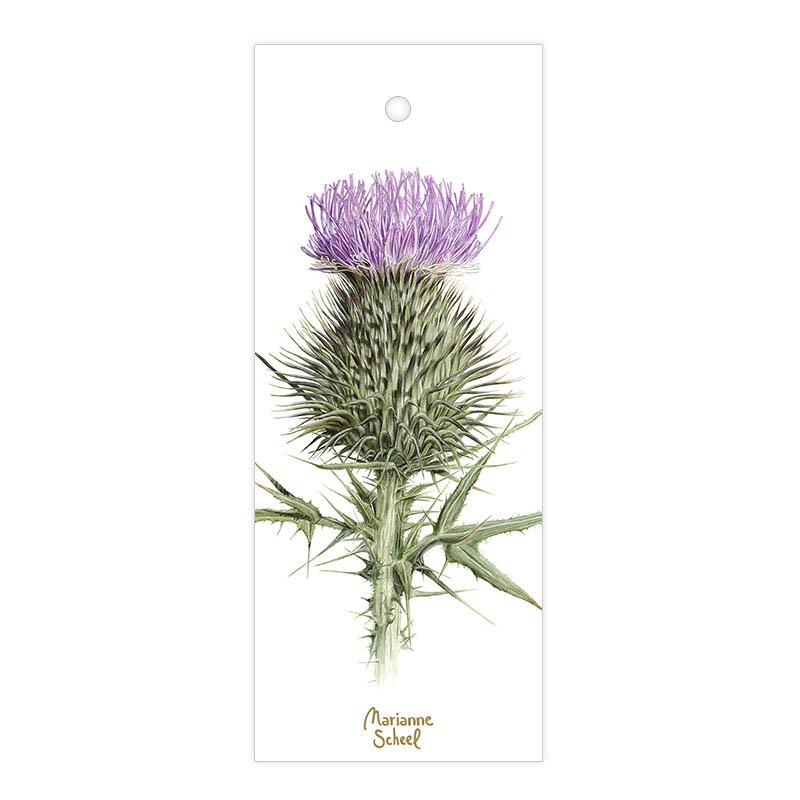Blomster-tags-kort-tidsel-i-blomst-hvid-baggrund-til-og-fra-til-snor-marianne-scheel-illustration.jpg