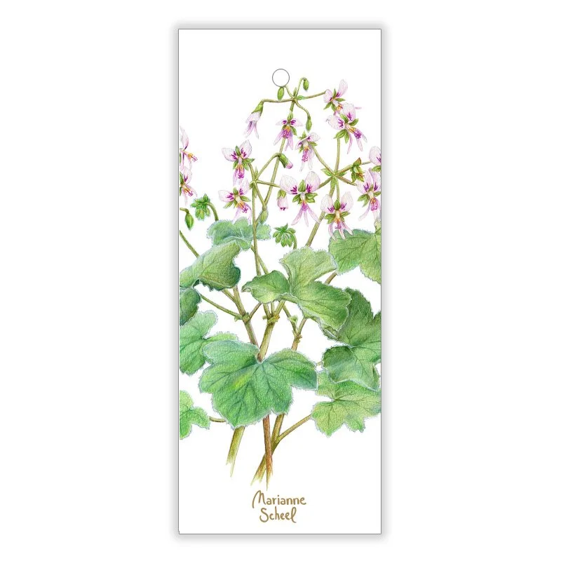 Vintertag-mynte-geranium-hvid-BG.jpg