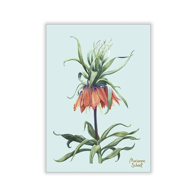 Kejserkrone-A7-blomsterkort-blå-BG-forside-Marianne-Scheel.jpg